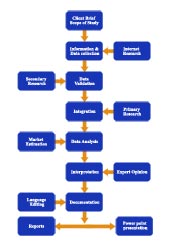 Process Flow Diagram